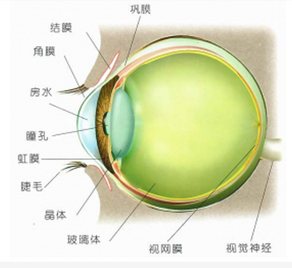 眼睛发黄是怎么回事?
